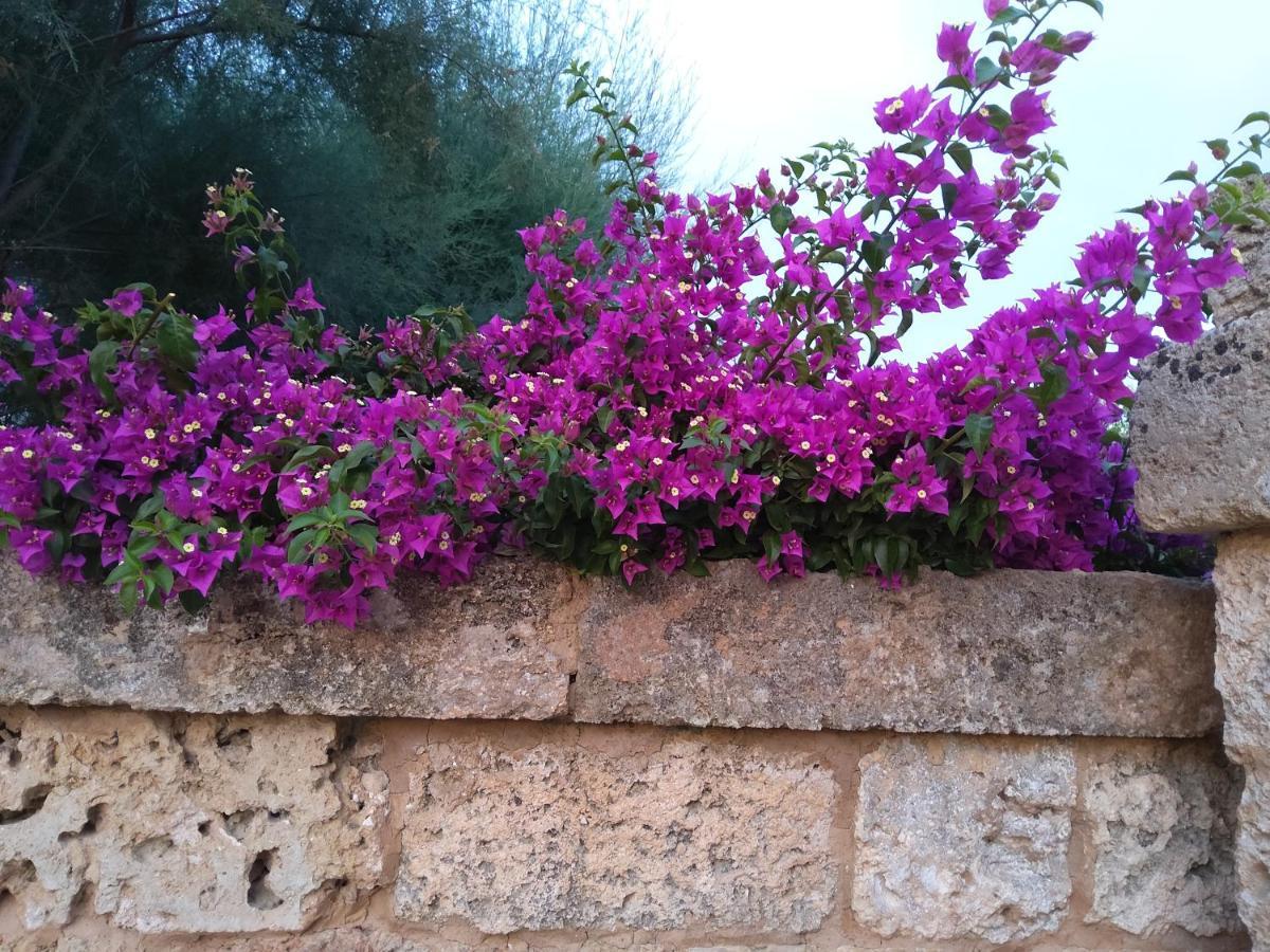 Casetta Vacanza In Campagna Aradeo Exterior foto