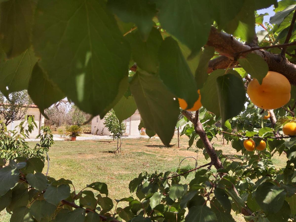 Casetta Vacanza In Campagna Aradeo Exterior foto