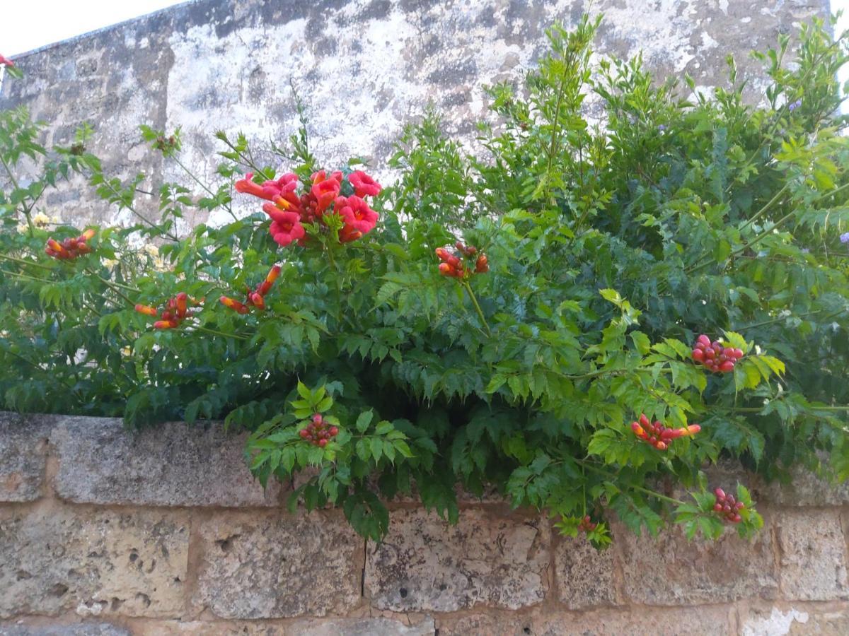 Casetta Vacanza In Campagna Aradeo Exterior foto