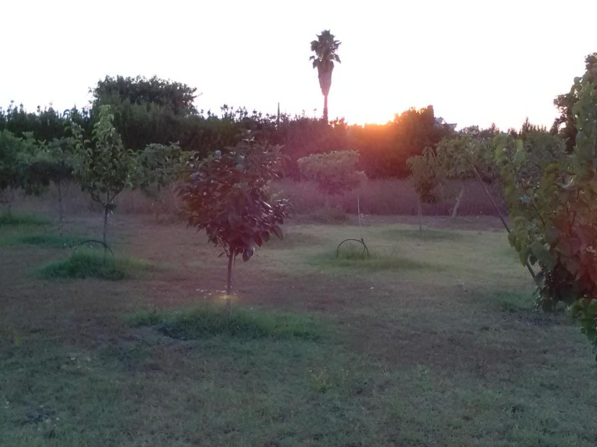 Casetta Vacanza In Campagna Aradeo Exterior foto