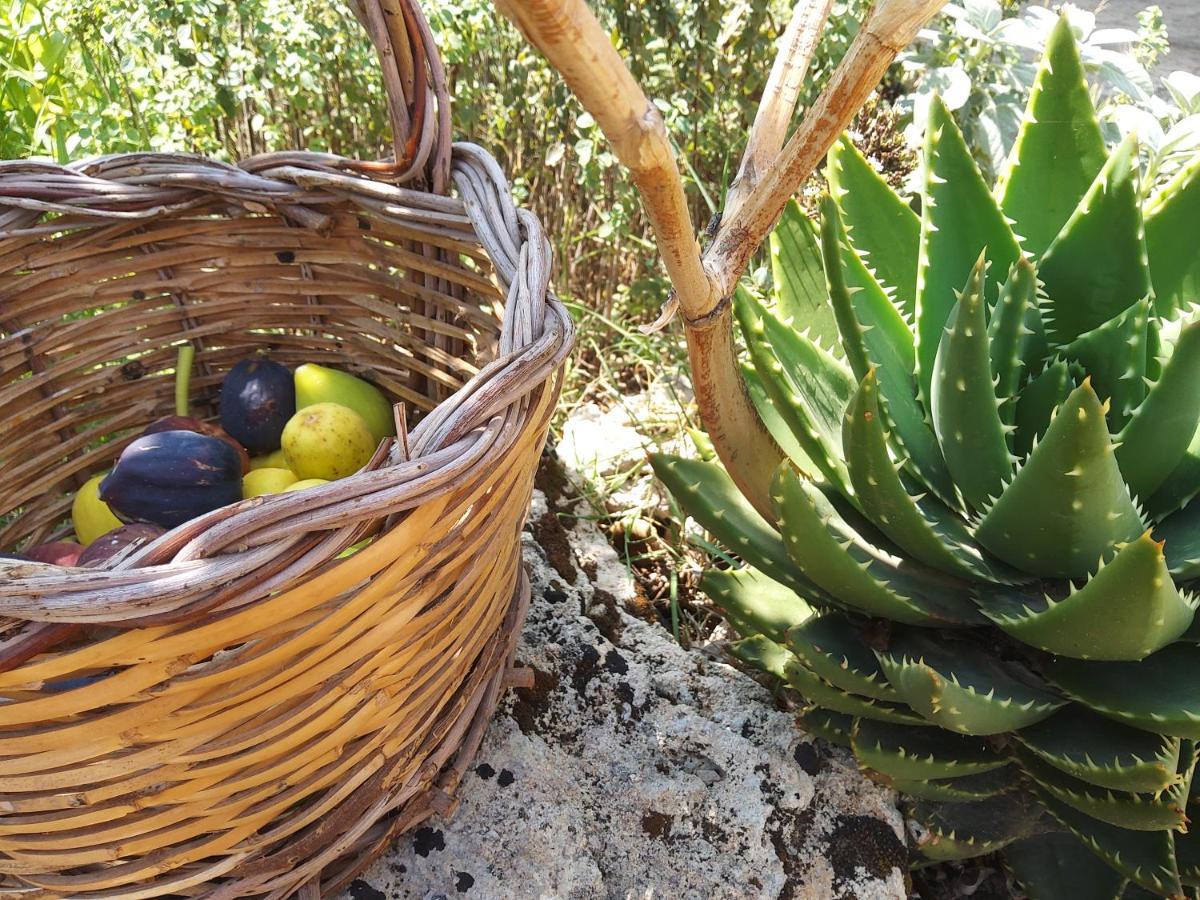 Casetta Vacanza In Campagna Aradeo Exterior foto