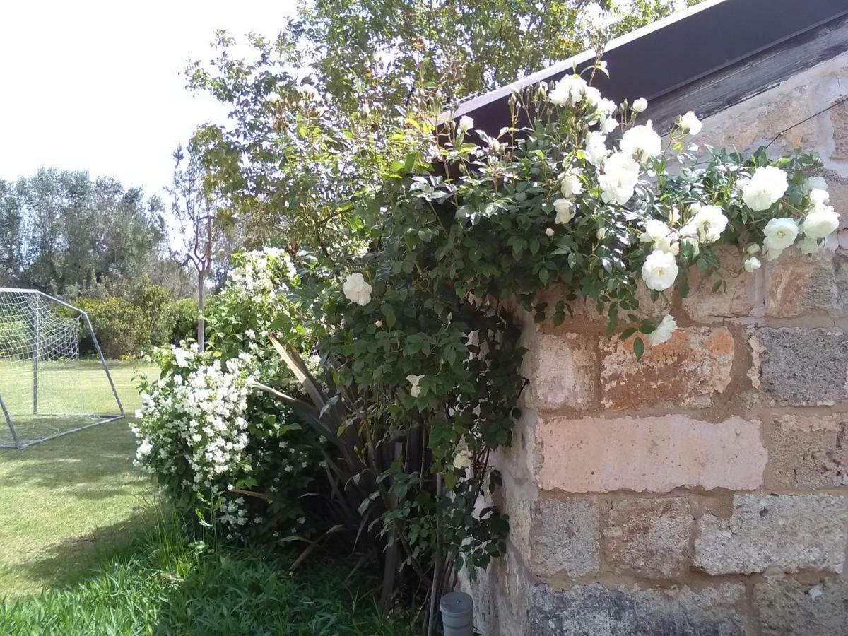 Casetta Vacanza In Campagna Aradeo Exterior foto