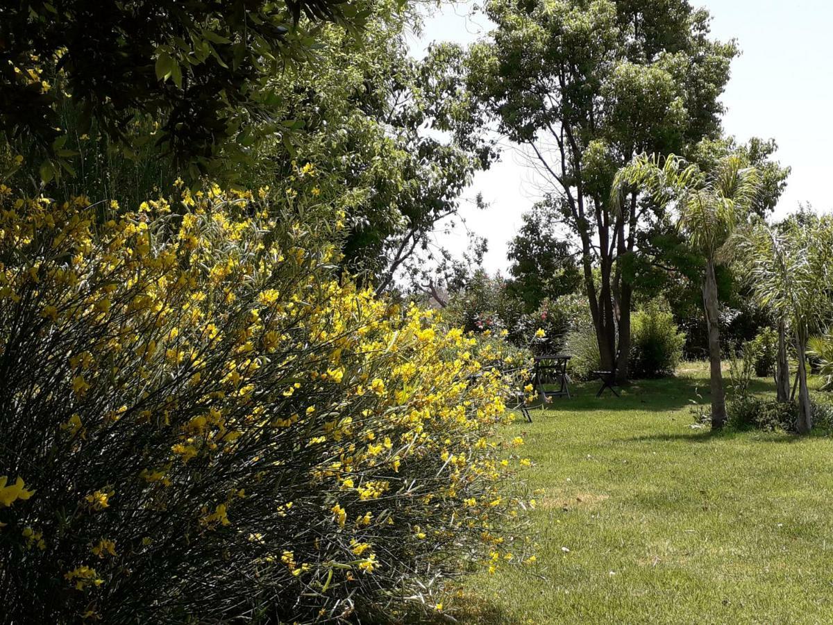 Casetta Vacanza In Campagna Aradeo Exterior foto