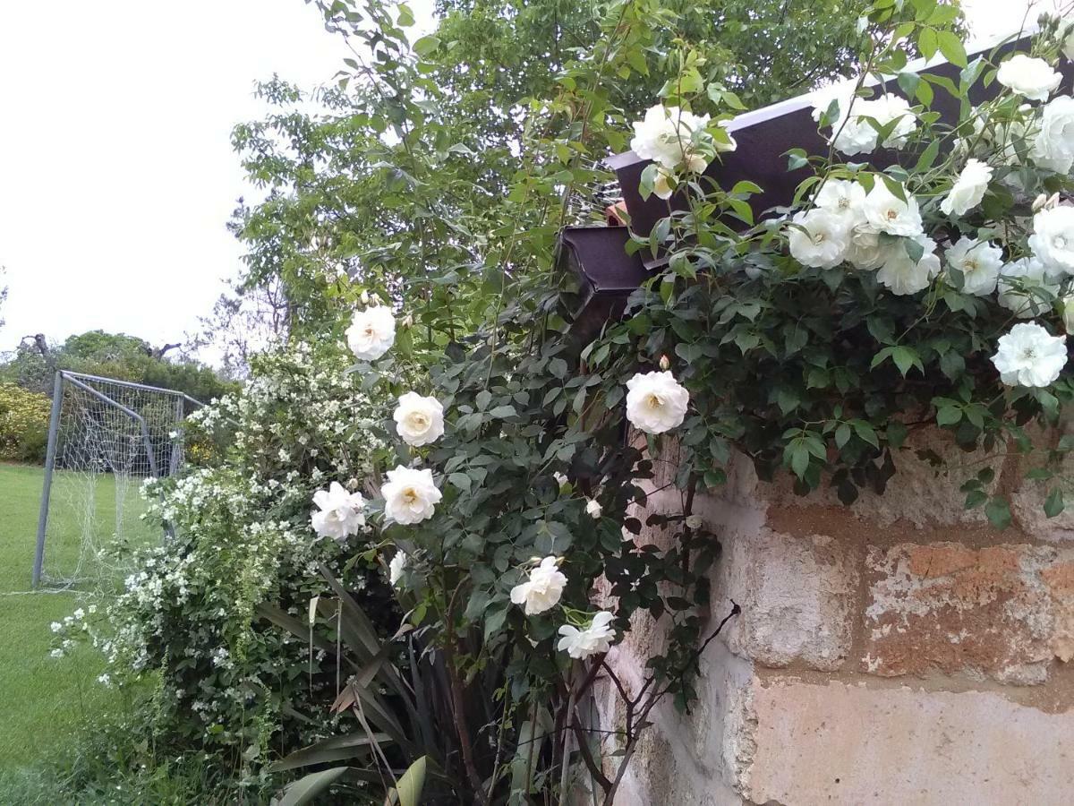 Casetta Vacanza In Campagna Aradeo Exterior foto